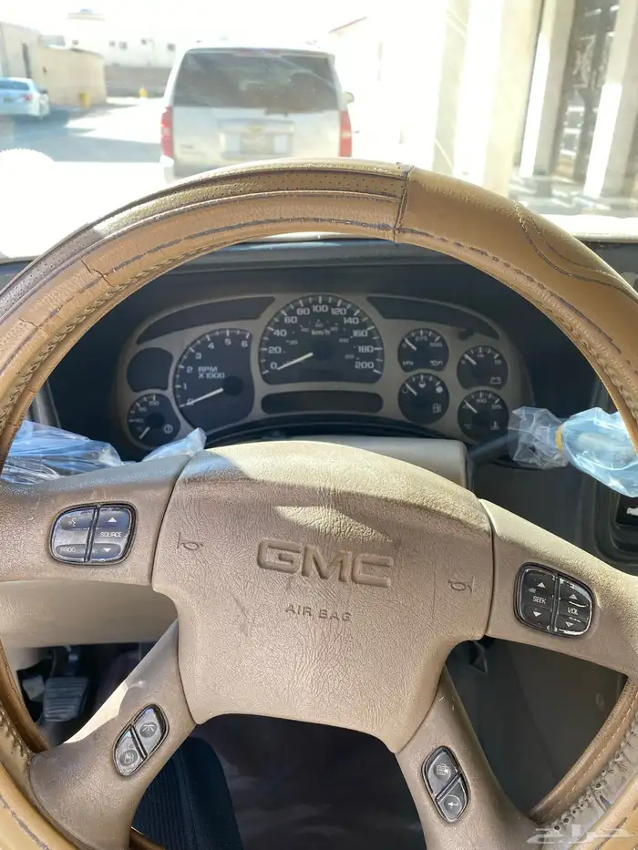 دينالي2004 11