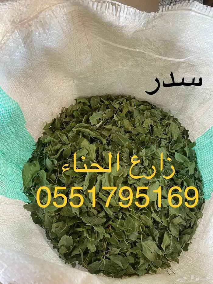 حناء ينبع النخل حناء المدينه سدر حناء ملكي 4