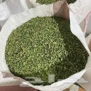 حناء ينبع النخل حناء المدينه سدر حناء ملكي 3