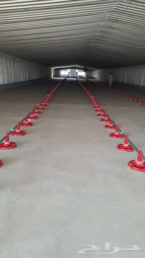 مقاول_حضائر_دواجن 4