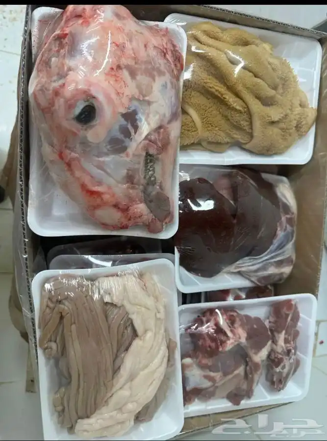 للبيع طليان ذبايح بريه مع خدمة الذبح والتوصيل التكيس وتغليف 3