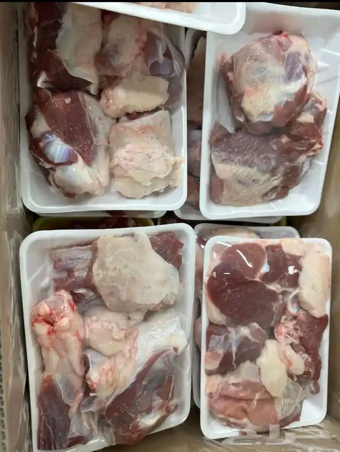 للبيع طليان ذبايح بريه مع خدمة الذبح والتوصيل التكيس وتغليف 2