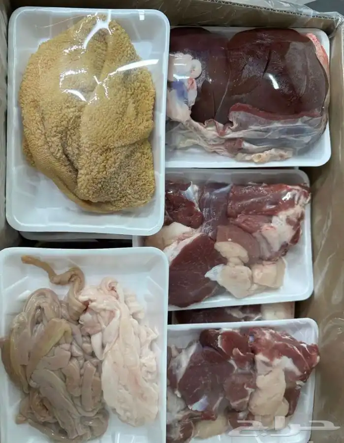 للبيع طليان ذبايح بريه مع خدمة الذبح والتوصيل التكيس وتغليف 4