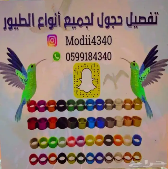 متجر Modi Birds 10