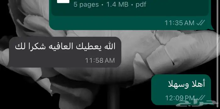 ترجمة تقارير طبية ومقالات وبوربوينت بأي موضوع 2