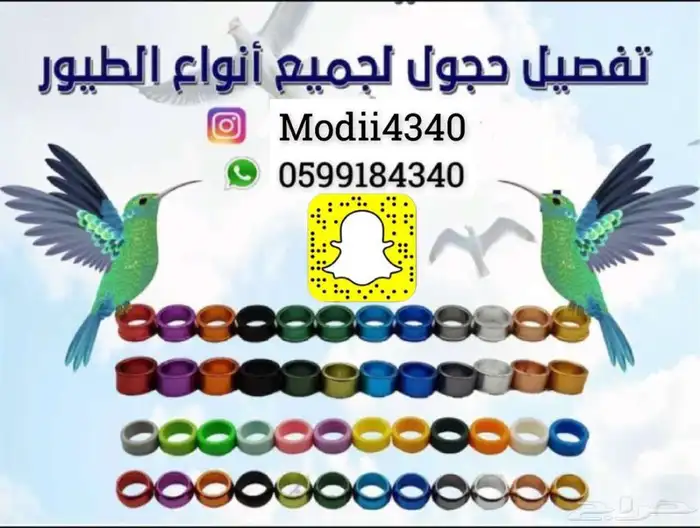 متجر Modi Birds 11