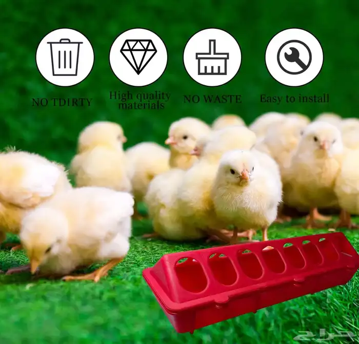 متجر Modi Birds 1