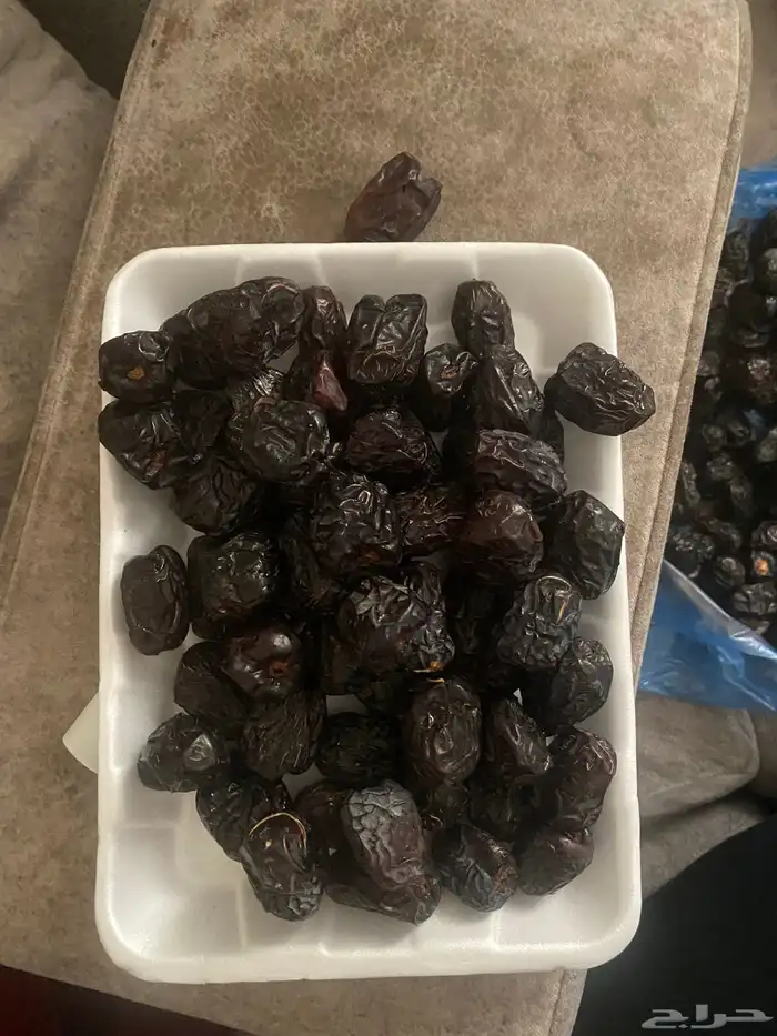 عجوه فاخرره حبه كبيره 37