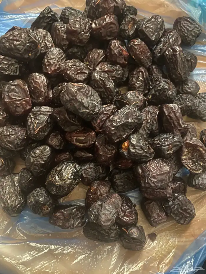 عجوه فاخرره حبه كبيره 41