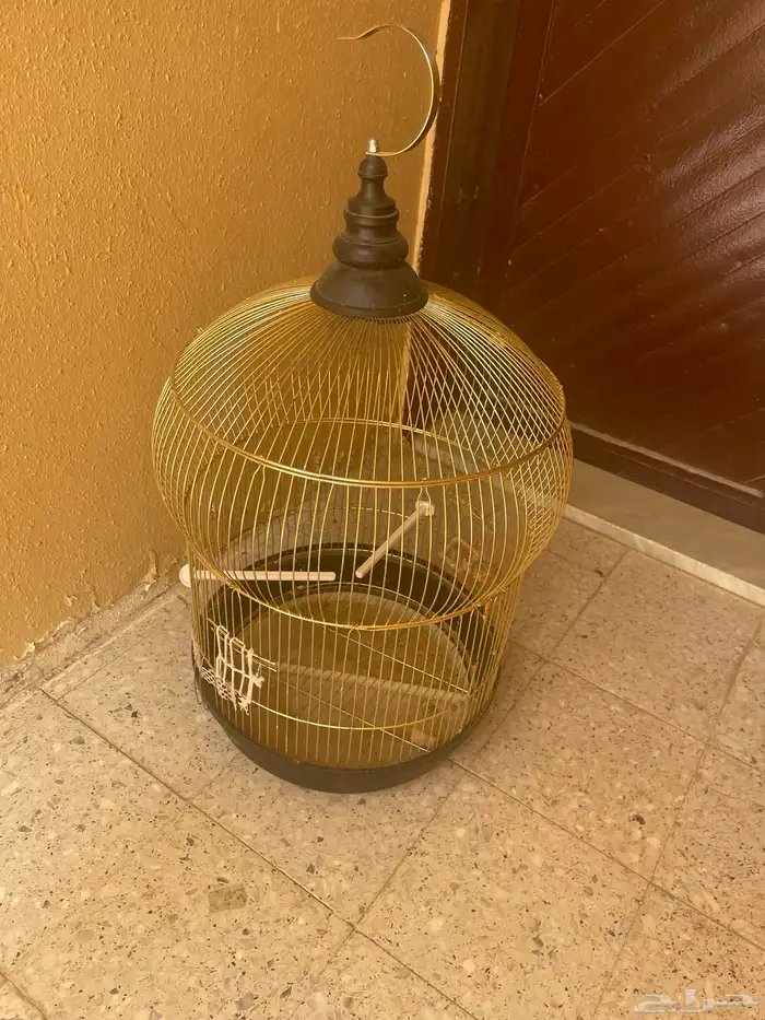 قفص طير طيور صندوق بيت 0