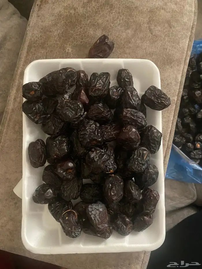 عجوه فاخرره حبه كبيره 45