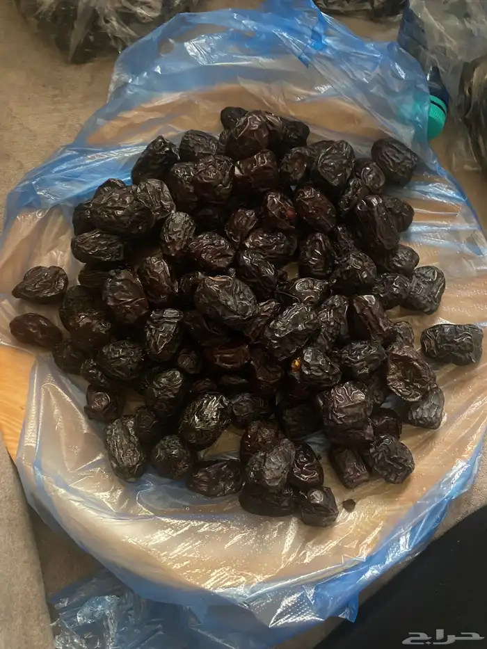 عجوه فاخرره حبه كبيره 43