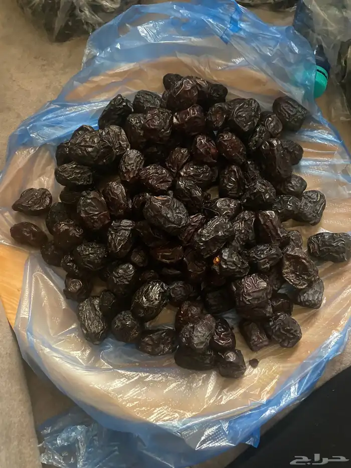 عجوه فاخرره حبه كبيره 44