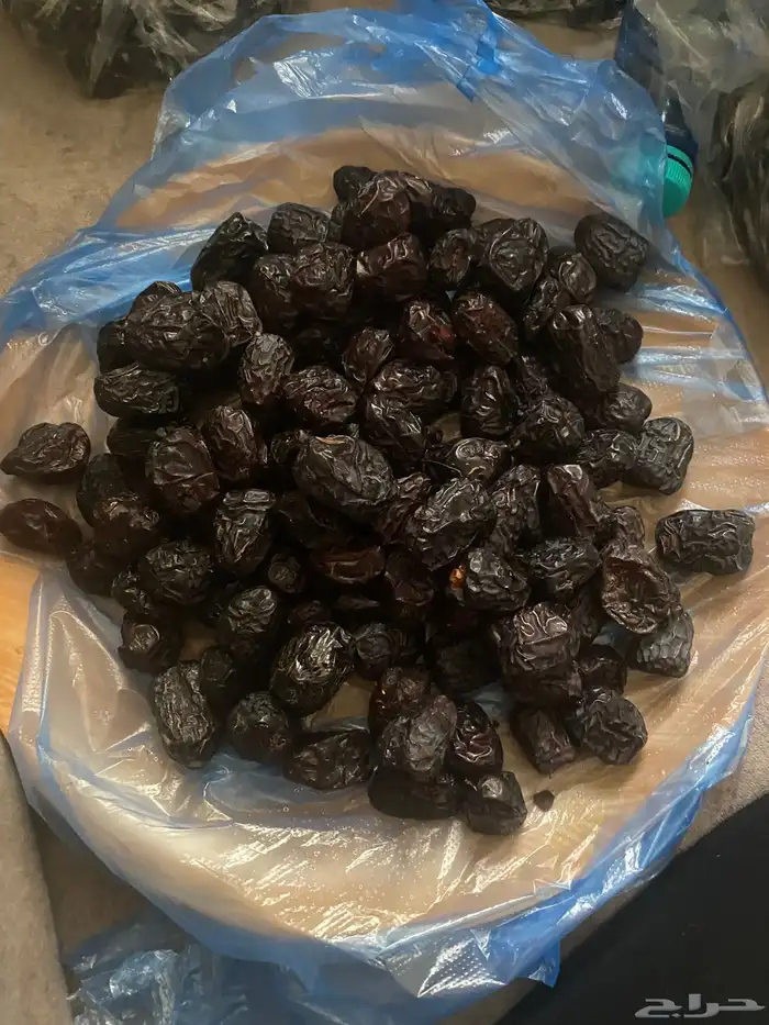 عجوه فاخرره حبه كبيره 40