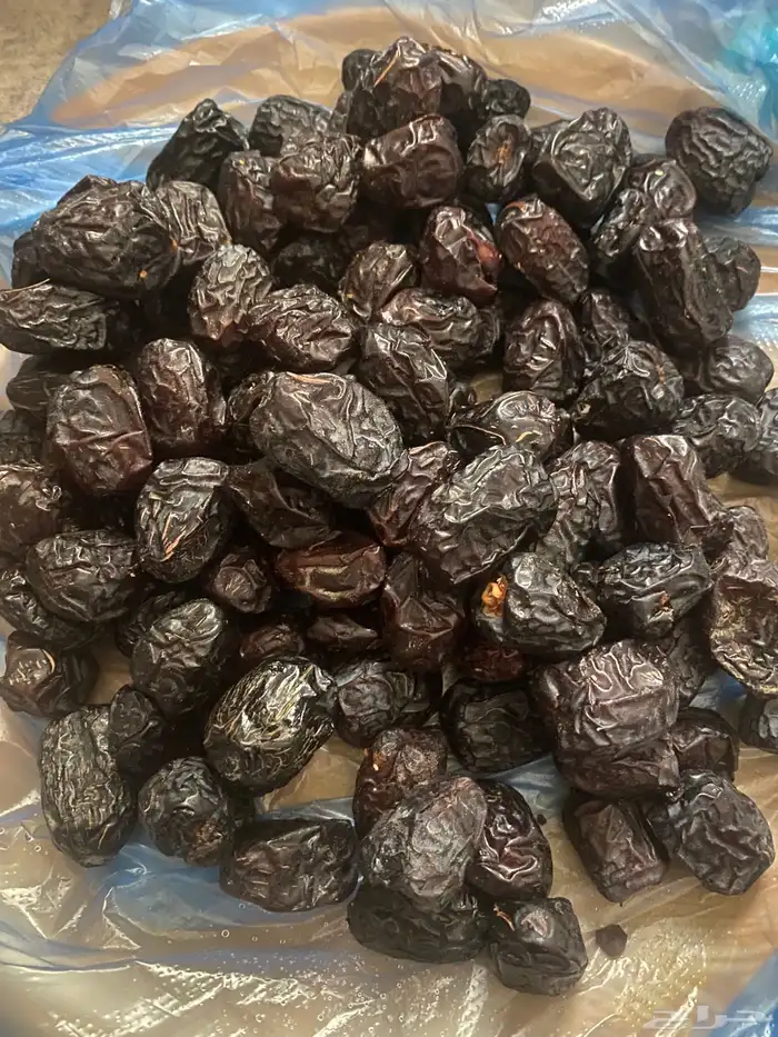 عجوه فاخرره حبه كبيره 42