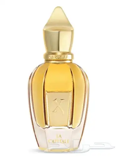عطور زيرجوف xerjoff الفاخرة اصلية جديدة 3