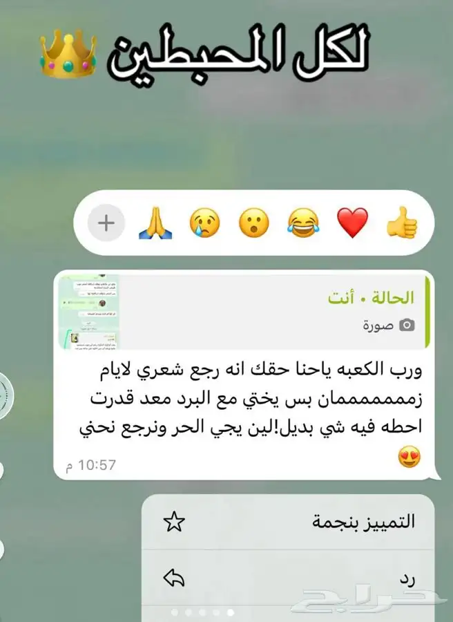 زيت القطران المغربي 0