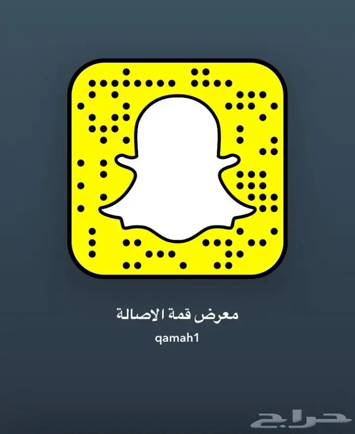 تويوتا سكويا 2014 نص فل دبل 10