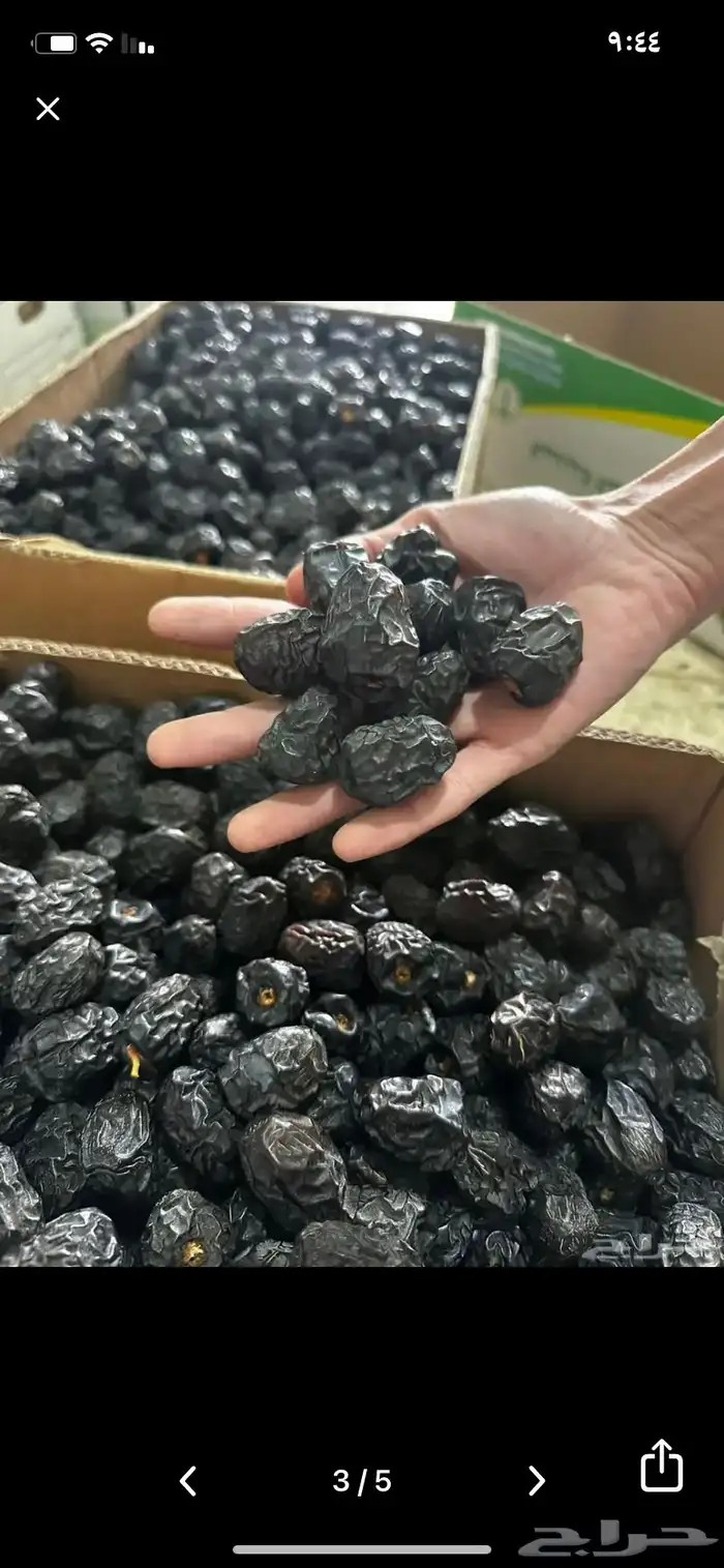 عجوه فاخرره حبه كبيره 48