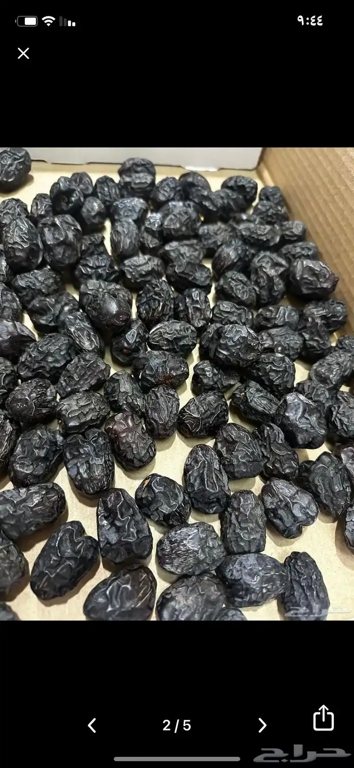 عجوه فاخرره حبه كبيره 47