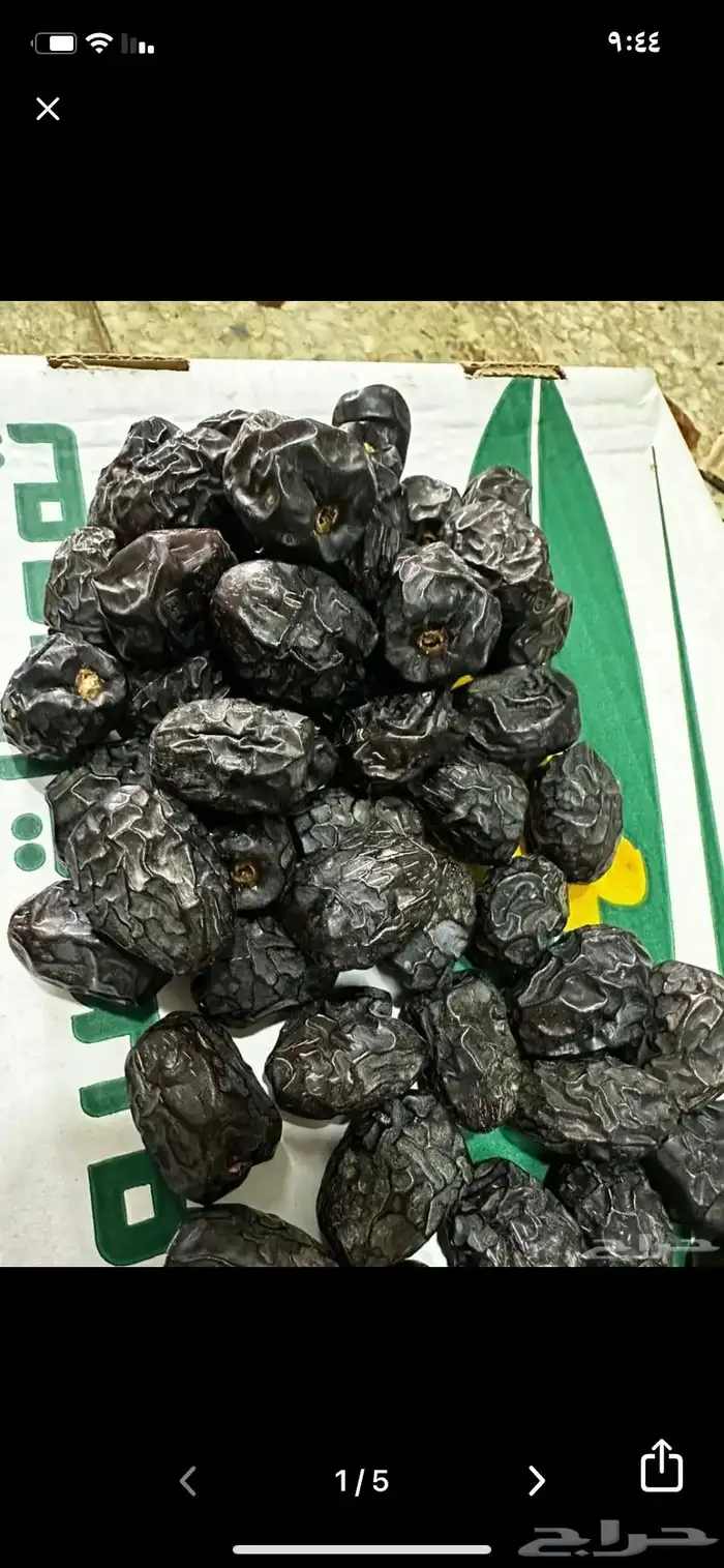 عجوه فاخرره حبه كبيره 36