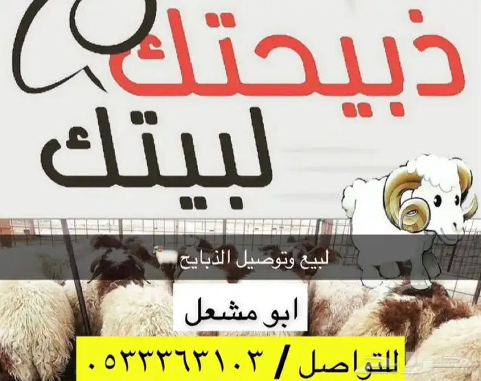 ذبيحتك لبيتك اطيب انواع الحلال 1