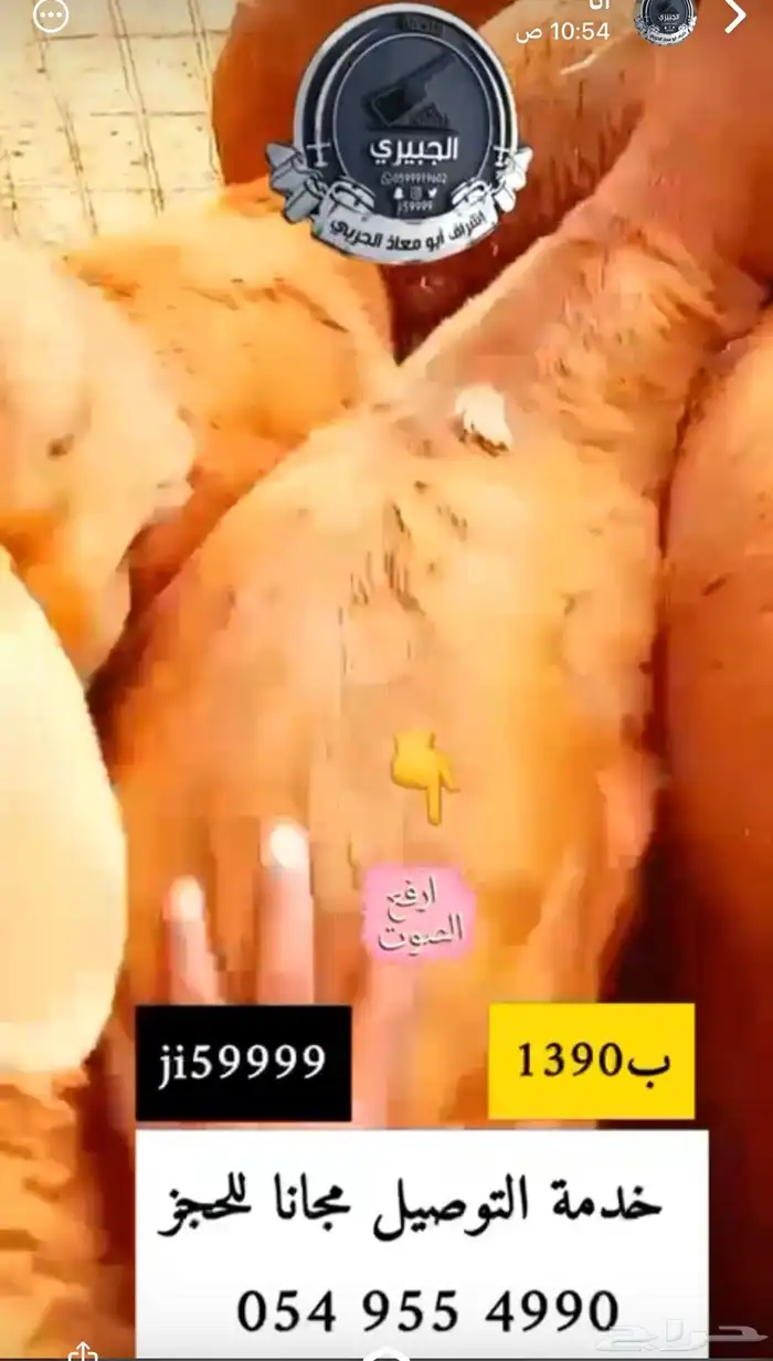 سواكنيات حمريه مرباه وحريات مراح 2