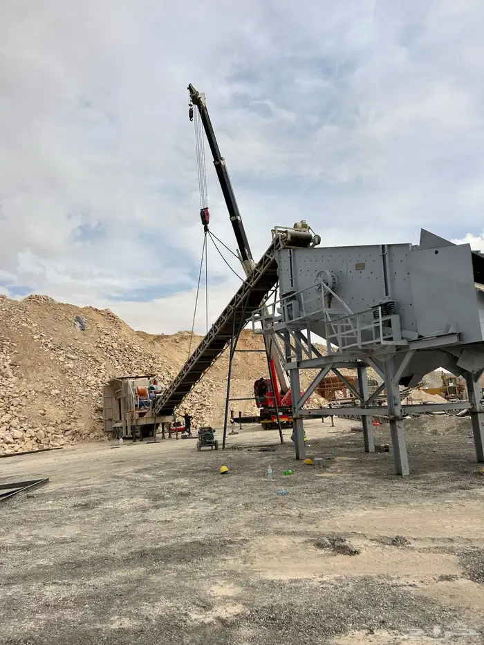 الرياض السلى 0