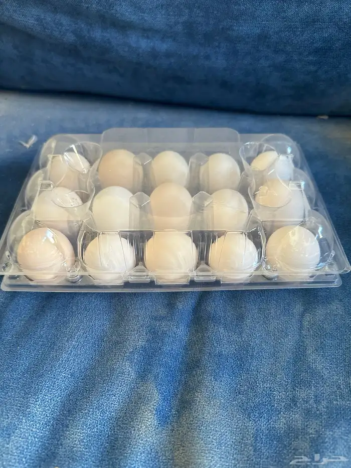 بيض فيومي وشوي بلدي للبيع 1