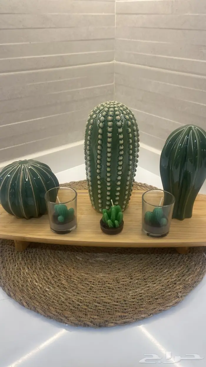 وصلتنا تشكيلة جديدة من النباتات الداخلية والخارجية 30