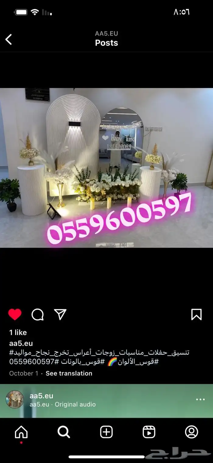 كنبات تاجير جنبات متنوعه مفرد وطويله مع الكراسي 18