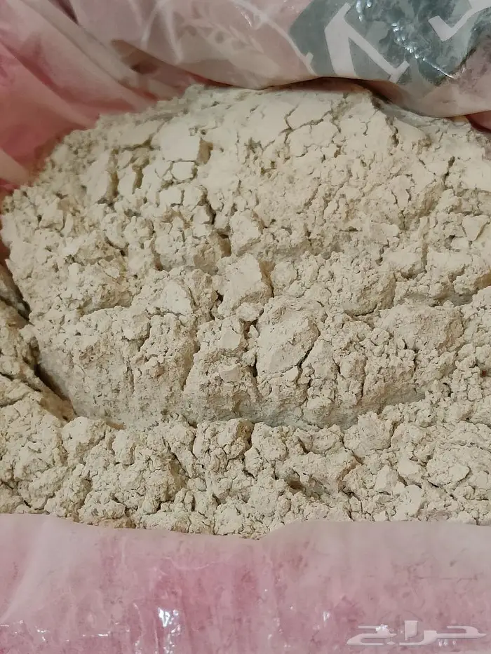 لقاح نخل نخيل بودر بودره فحال نبات بار النخيل قمح 4
