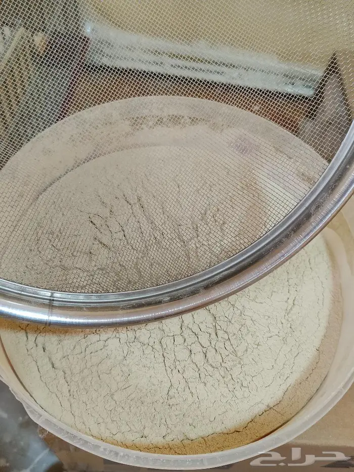 لقاح نخل نخيل بودر بودره فحال نبات بار النخيل قمح 5