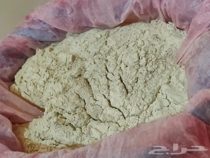 لقاح نخل نخيل بودر بودره فحال نبات بار النخيل قمح 1