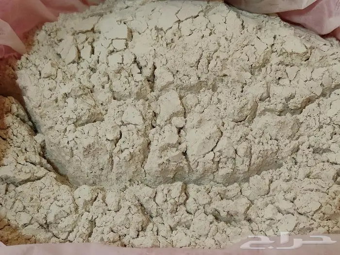 لقاح نخل نخيل بودر بودره فحال نبات بار النخيل قمح 2