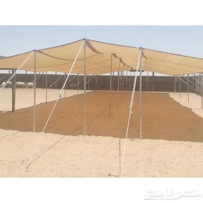 مظلات غنم - مظلات حلال 2