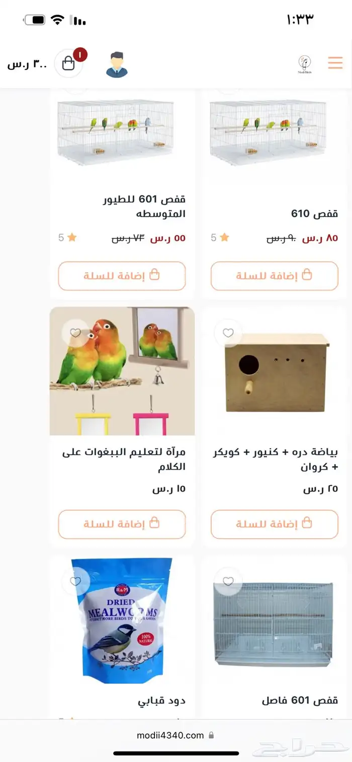 Modi Birds 16