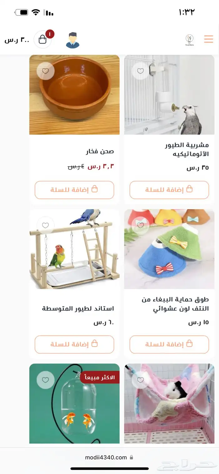 Modi Birds 19
