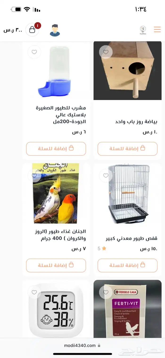 Modi Birds 15
