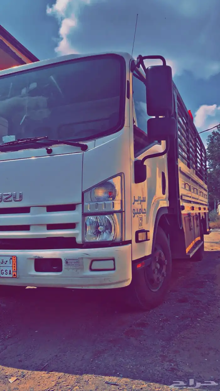 دينه مشاوير محايل ابها خميس الدرب القنفذه بارق الباحه القوز 0