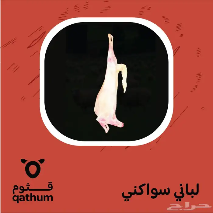 ذبايح سواكني ونعيمي لباني وجذع مطاعم مطابخ مشاوي ملاحم 4