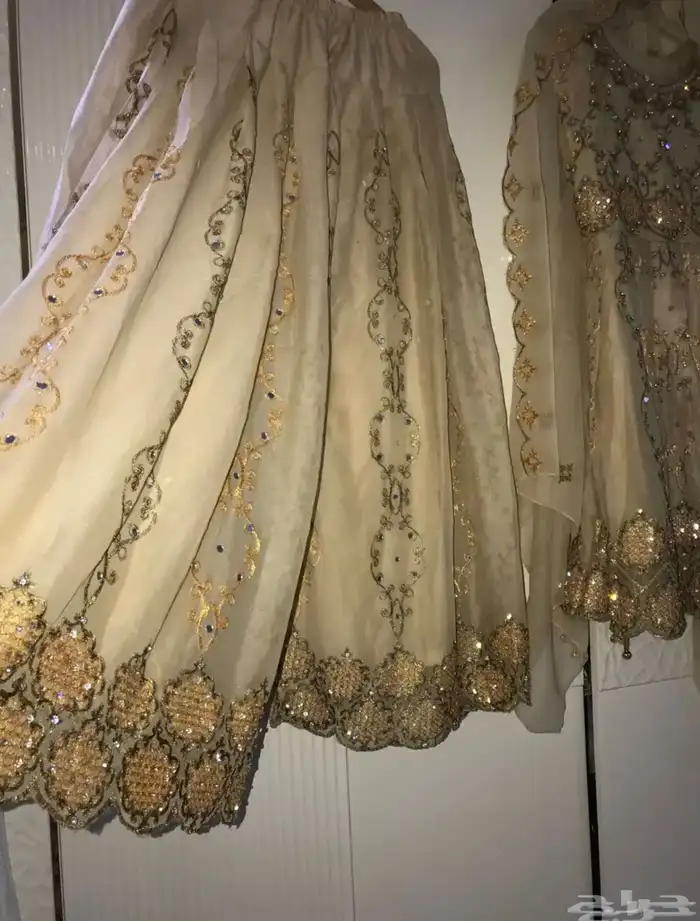 طقم لباس هندي فخمة جديد ملابس بنجابي تنورة باكستاني ازياء 2