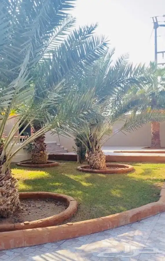 استراحه للايجار في المزاحميه ( جو ) 13