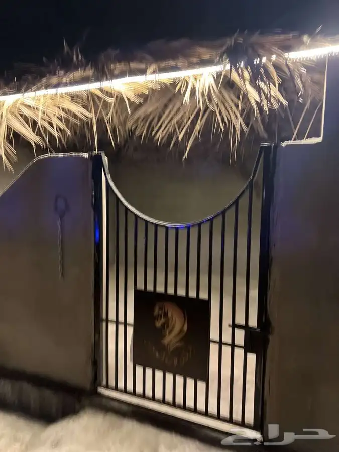 ايواء الخيل 5