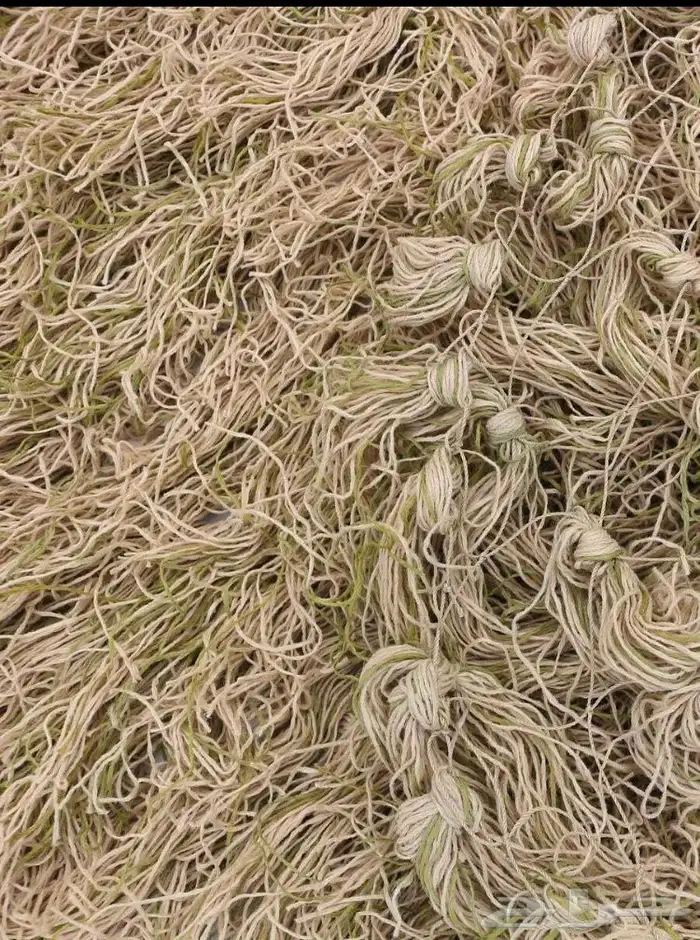 غطاء مموه للصيد 2