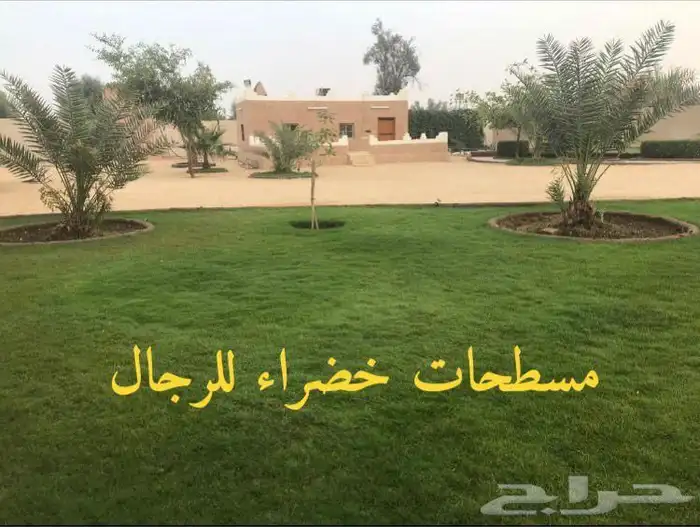 استراحه للايجار في المزاحميه ( جو ) 21