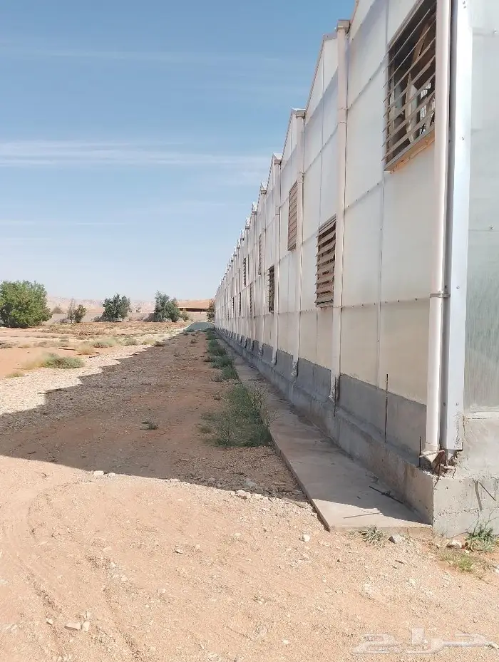 تركيب بيوت محميه مكيف وعادي 2