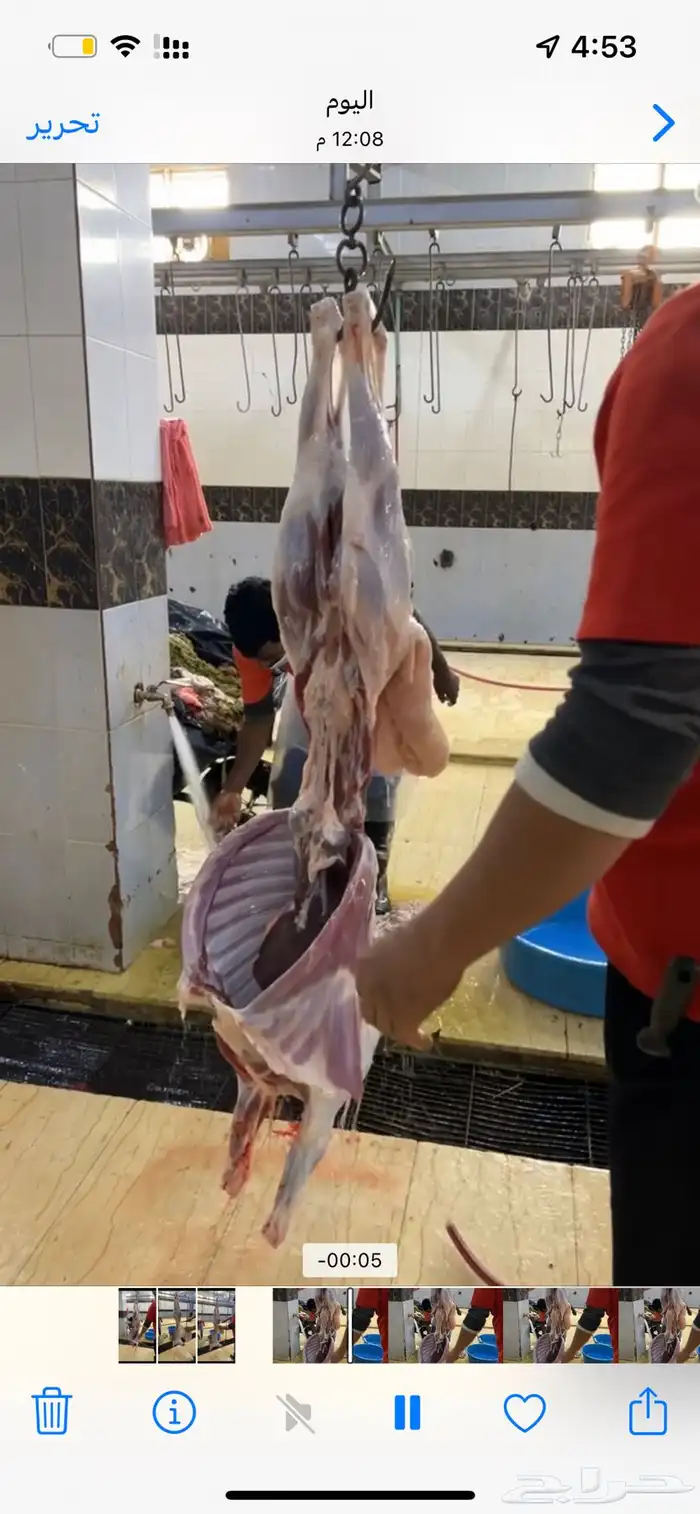 ذبايح طيبه دومة الجندل 1