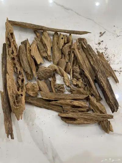 نوادر عود كلمنتان دبل سوبر 2