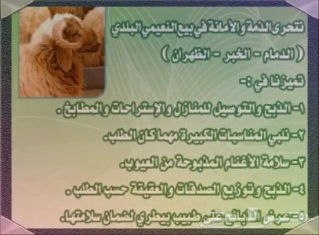 خرفان ذبايح توصيل 11